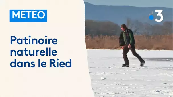 Des prairies humides se transforment en patinoire naturelle sous l'effet du gel