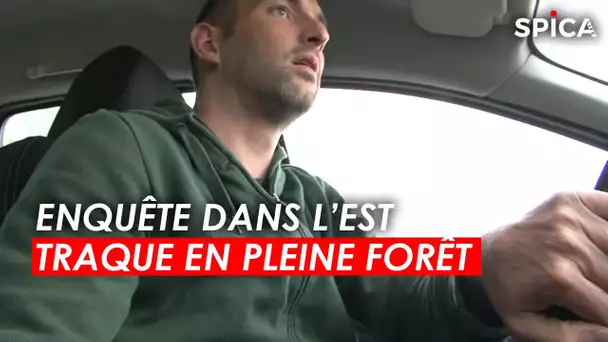 Traque en pleine forêt : Enquête dans l'Est