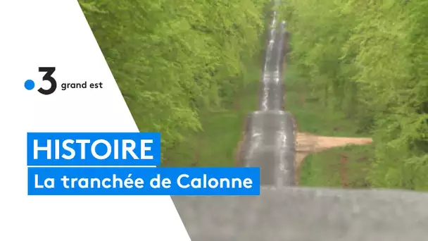 L'histoire de la tranchée de Calonne