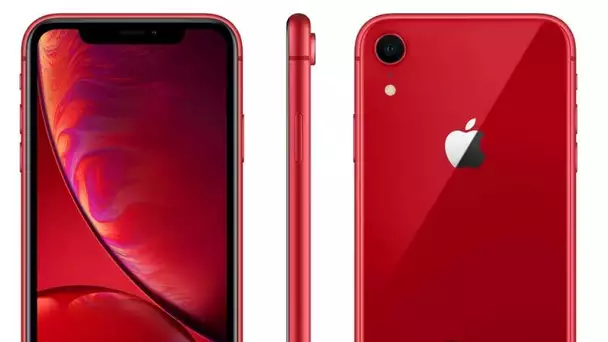 Bonnes affaires iPhone XR : le superbe smartphone d'Apple réduit de 35%.