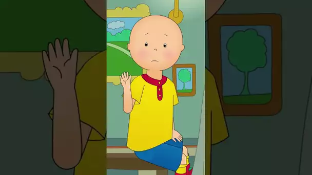 Caillou Contre le Racisme #shorts