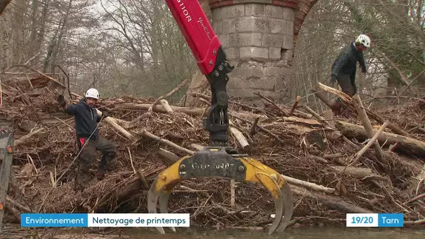 Leur mission, débarrasser les rivières du sud du Tarn de leurs débris de bois