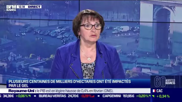 Christiane Lambert (FNSEA) : Plusieurs centaines de milliers d'hectares impactés par le gel