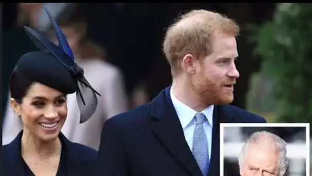 Le prince Harry et Meghan Markle confrontés à un scénario « catastrophique » s'ils perdent leurs tit