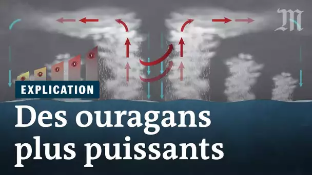 Ouragans : le réchauffement les rendra plus puissants