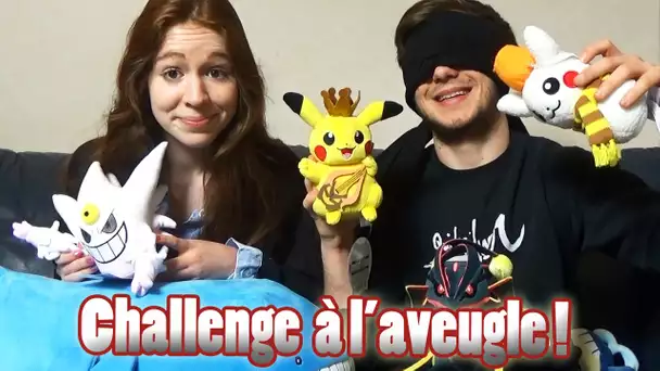 POKEMON CHALLENGE À L&#039;AVEUGLE #1 Devine ma Peluche Pokémon !