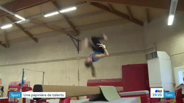 Des gymnastes par centaines au Salto Albigeois