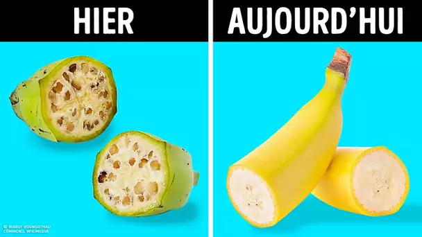 Tu ne reconnaîtrais pas ces 16 aliments autrefois