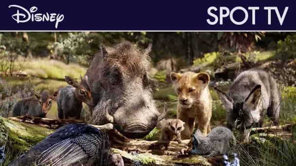 Le Roi Lion (2019) - Spot TV : Timon et Pumbaa | Disney