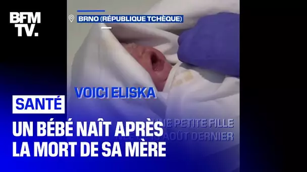 En République Tchèque, un bébé naît alors que sa mère est en état de mort cérébrale