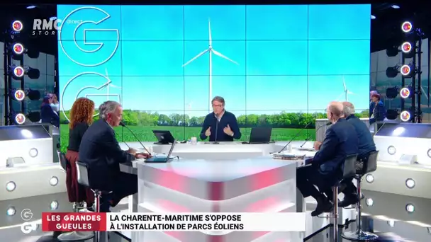 'Les Grandes Gueules' de RMC: faut-il arrêter de développer les éoliennes en France?