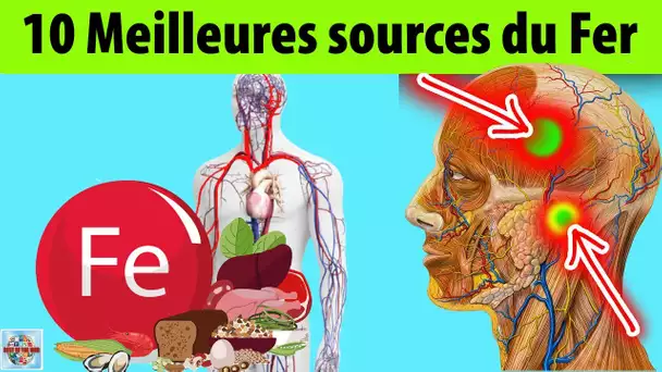 10 Aliments riches en fer à intégrer dans votre alimentation