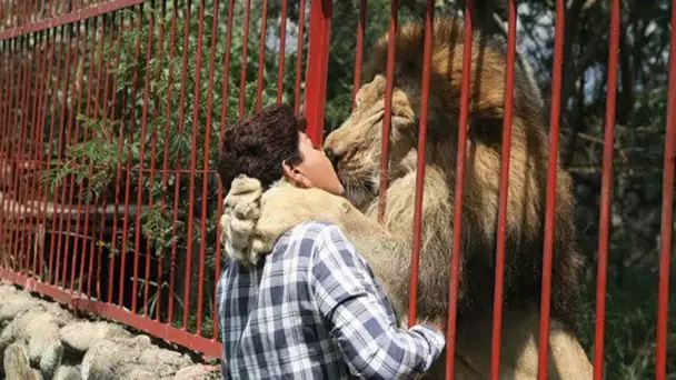 Ces Animaux Retrouvent Leurs Propriétaires Après des Années!