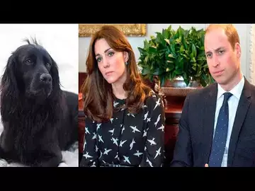 Kate et William : ils ont laissés leur chien choisir les prénoms de leurs enfants ! SCANDALE !