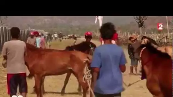 Indonésie : le business des enfants jockeys