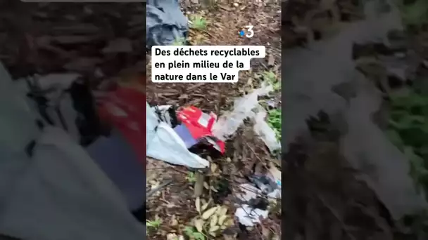 Des #déchets recyclables en plein milieu de la nature dans le #Var