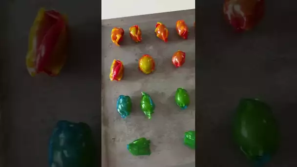 Les Meilleurs Bonbons d’Été 🍇🍭 (Fruit Roll-Ups)