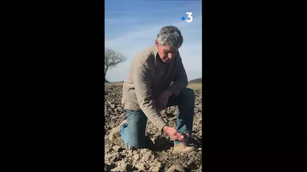 Quinoa d&#039;Anjou :  avec Christian Blet, producteur