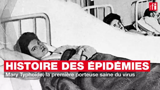 Mary Typhoïde, la première porteuse saine du virus  - Petite histoire et grande épidémie #8