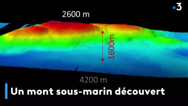 Un mont sous-marin découvert