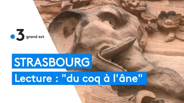 Strasbourg : un nouveau livre, "du coq à l'âne", découverte des animaux fantastiques