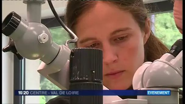 Les coulisses de la clinique vétérinaire du ZooParc de Beauval