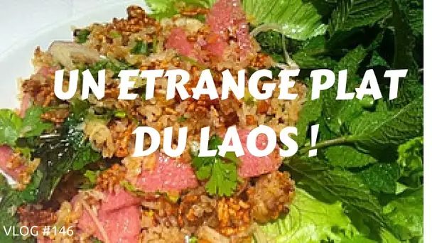 Un étrange plat du Laos - VLOG #146