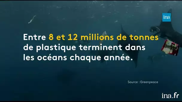 Pollution plastique : une préoccupation depuis les années 1990 | Franceinfo INA