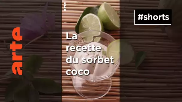 Un délice... de Martinique 🥥 | ARTE