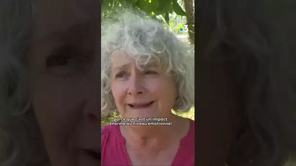 Des gens du voyage occupent un terrain privé à Aix-en-Provence