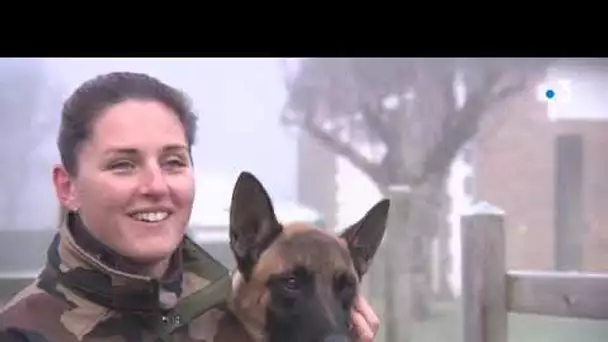 Enquêtes de région : les chiens de la Gendarmerie, des experts qui ont du flair !