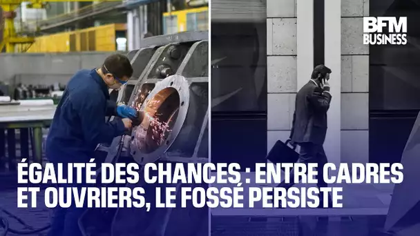 Égalité des chances : entre cadres et ouvriers, le fossé persiste