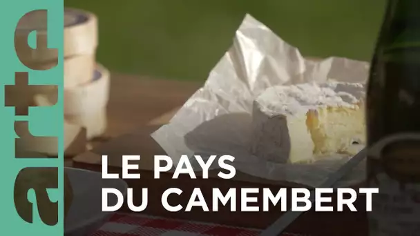 Camembert, made in Normandie | Invitation au voyage | ARTE Family