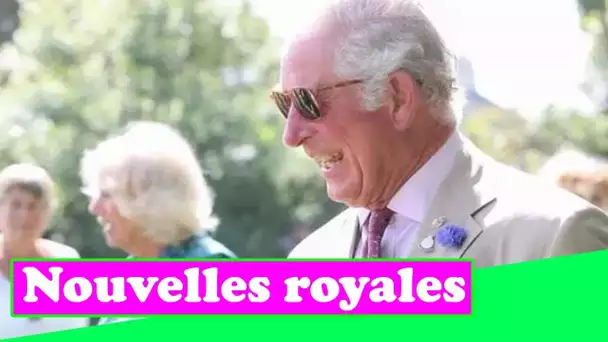 Le prince Charles tout sourire lors de ses premiers fiançailles après la bombe du livre de Harry