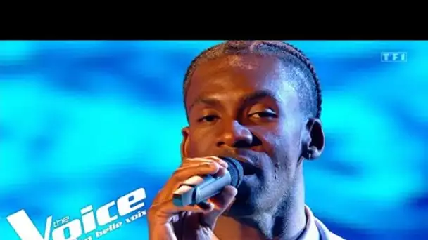 Céline Dion - S'il suffisait d'aimer - Charles Kaylan | The Voice 2022 | Cross Battles