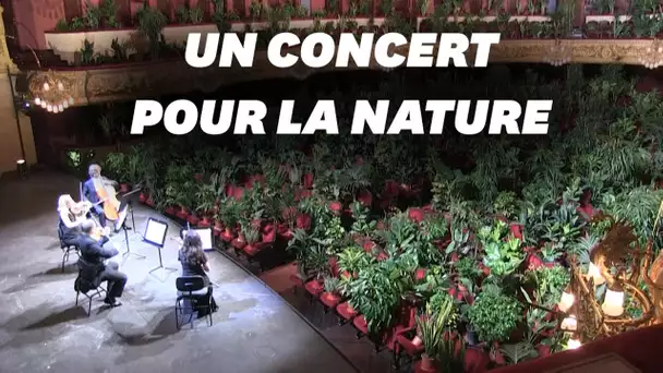 L'opéra de Barcelone rouvre avec des plantes pour spectateurs