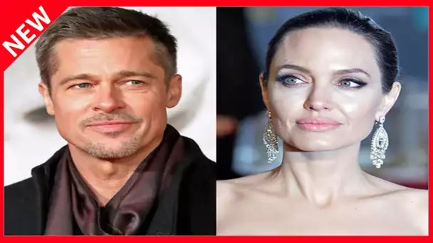 ✅  Brad Pitt harcelé par Angelina Jolie… La marraine de l’actrice, Jacqueline Bisset, intervient
