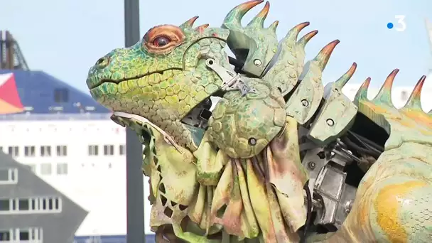 Calais : après le Dragon, l'Iguane !