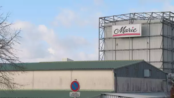 Agroalimentaire : grève chez Marie Surgelés à Airvault dans les Deux-Sèvres
