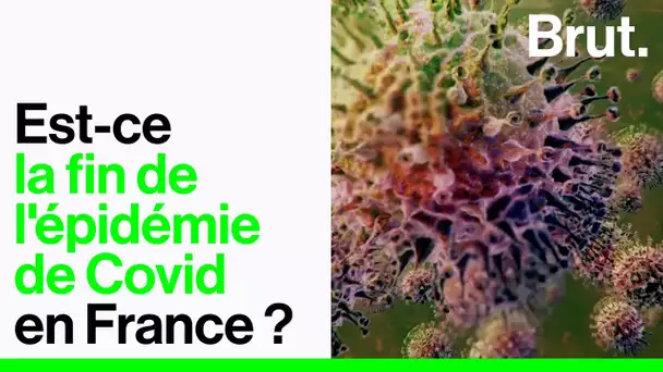 Est-ce la fin de l’épidémie de Covid en France ?