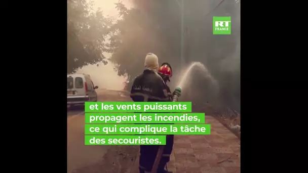 L’Algérie meurtrie par des incendies dévastateurs
