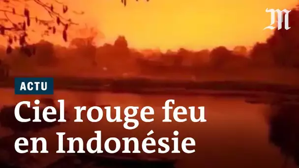 Feux en Indonésie : le ciel rouge « comme sur Mars »