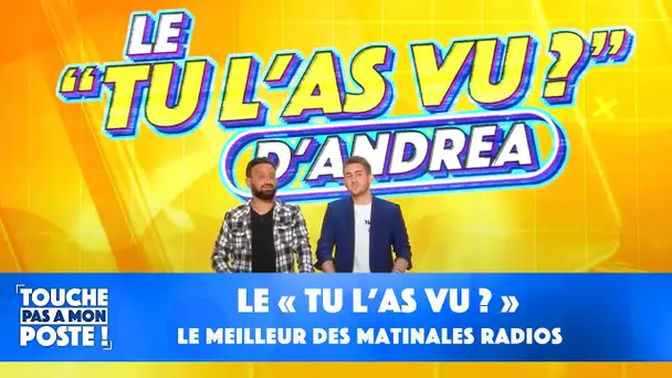 Le "Tu l'as vu ?" : le meilleure des matinales radios !