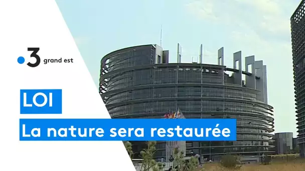 Europe : la loi sur la restauration de la nature adoptée