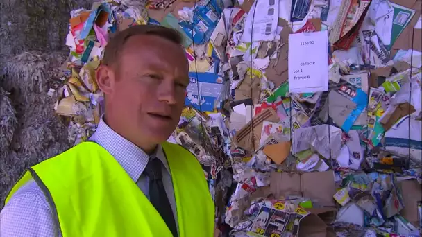 Le carton recyclé souvent dangereux