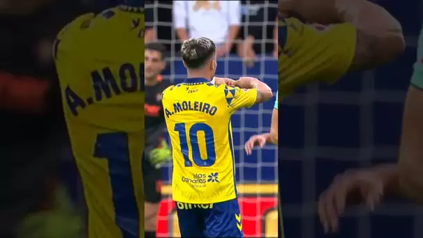 MOLEIRO 💛