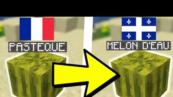 MINECRAFT FRANCAIS VS QUEBECOIS