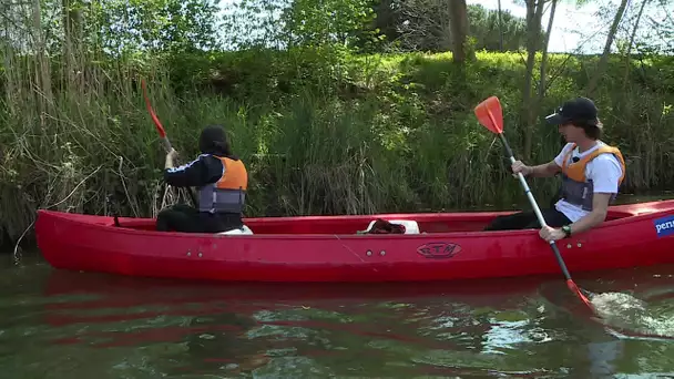 Environnement : des collégiens nettoient les berges de l'Isle en canoë