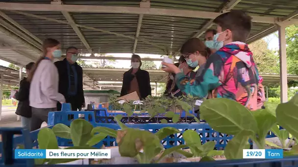 Vente de plants par des collégiens du Tarn pour une petite fille atteinte par une maladie orpheline