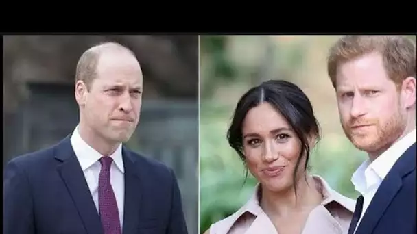 Le palais riposte aux « fausses affirmations » selon lesquelles le prince Harry et Meghan Markle lou